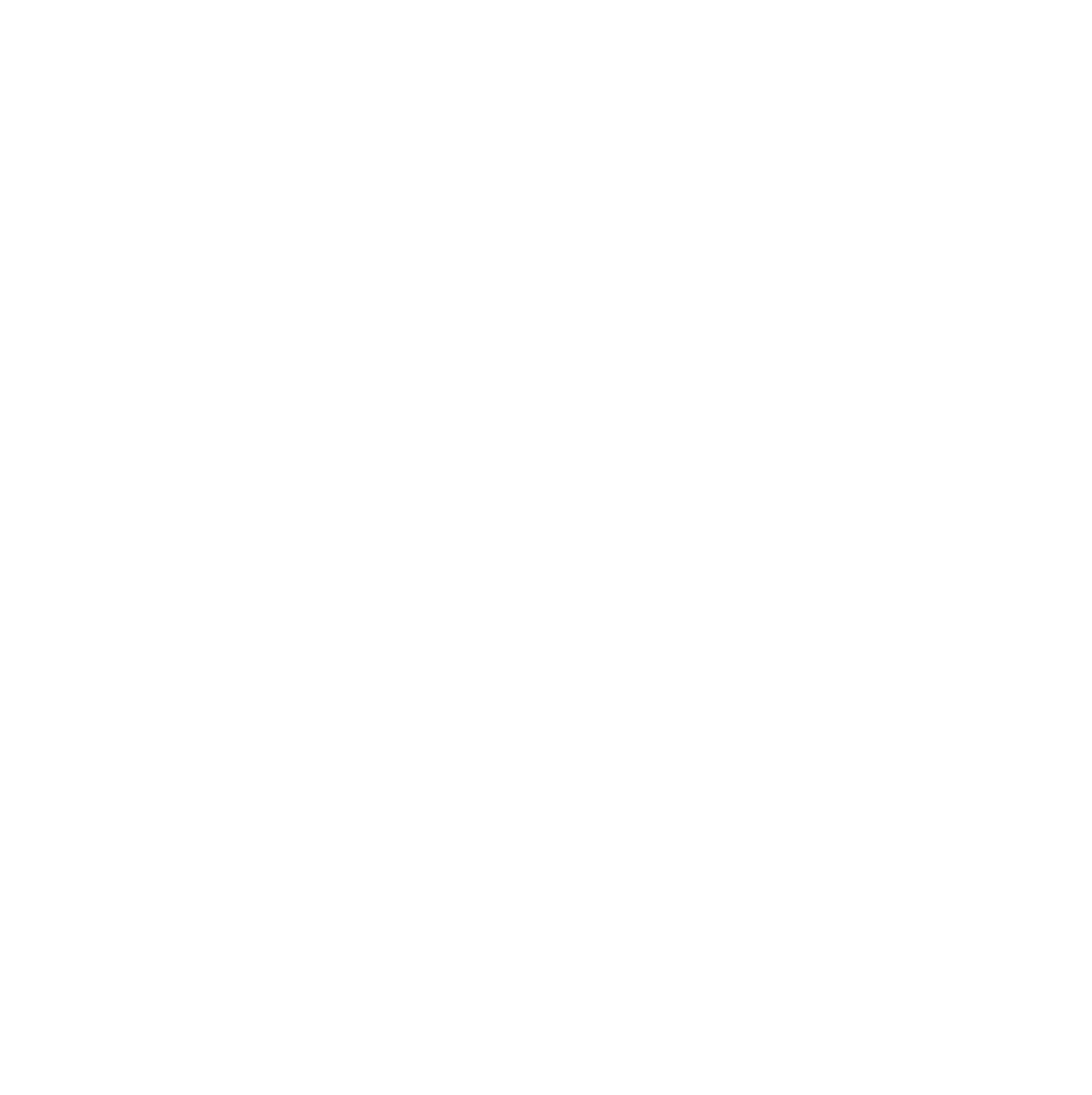BIRRIERIA DOS COYOTES